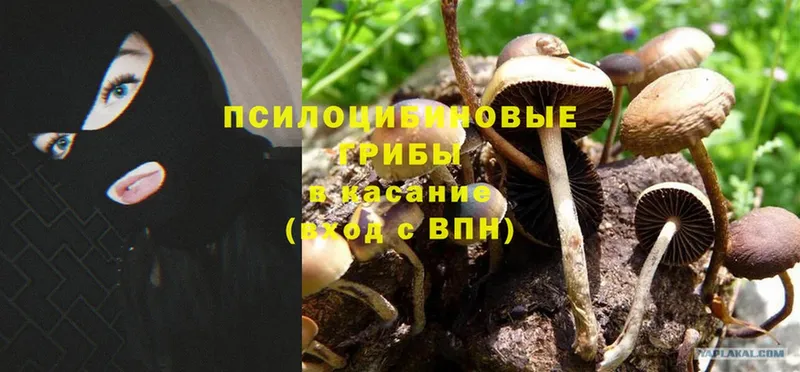 Псилоцибиновые грибы MAGIC MUSHROOMS  купить   MEGA рабочий сайт  Вуктыл 